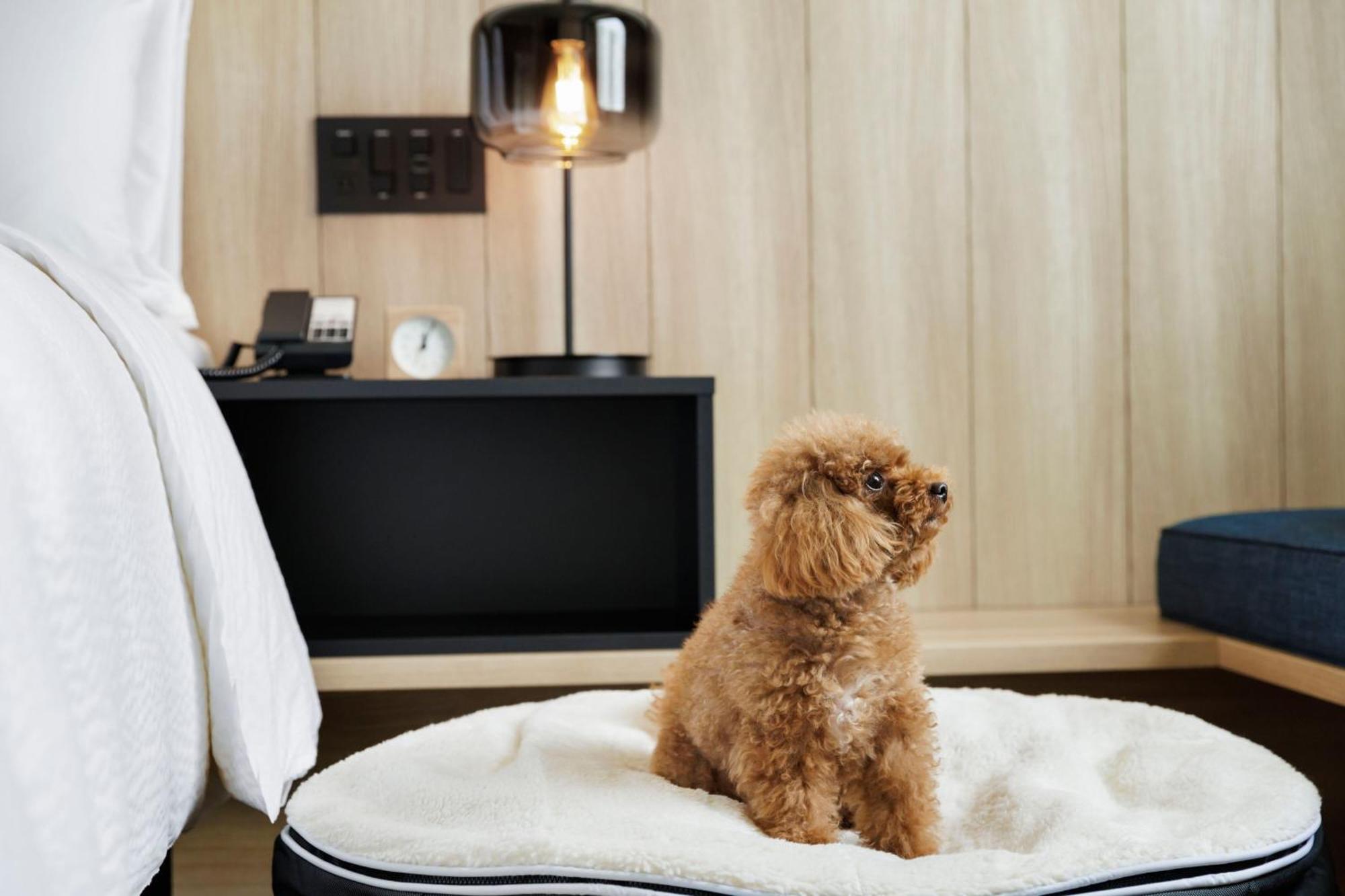 Fairfield By Marriott Kyoto Kyotamba Hotel Nantan Bagian luar foto